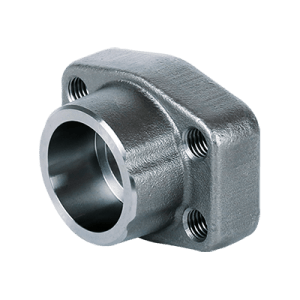 Socket-Weld-Flange (2)